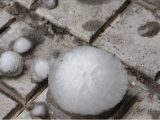 Градушка колкото мандарина удари Трявна