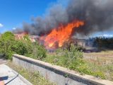 Пожарникари от Поморие и Несебър спасиха три котенца при пожар