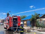 Пожарникари спасиха 12 бунгала и три котета при пожар край Поморие